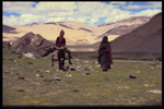 Nomads, border with China, Ladakh