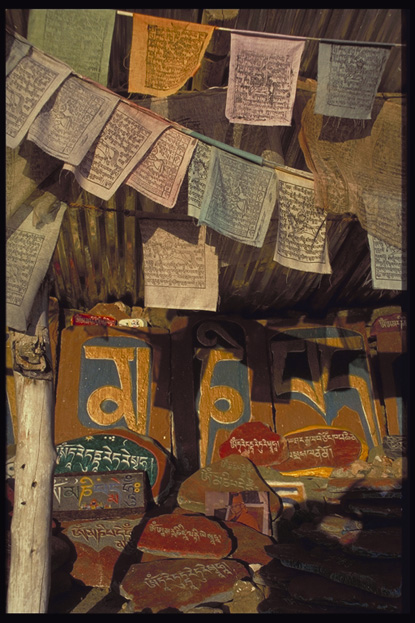 Tibetan praying flags, Dharamsala, North India