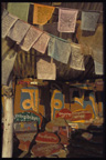 Tibetan praying flags, Dharamsala, North India