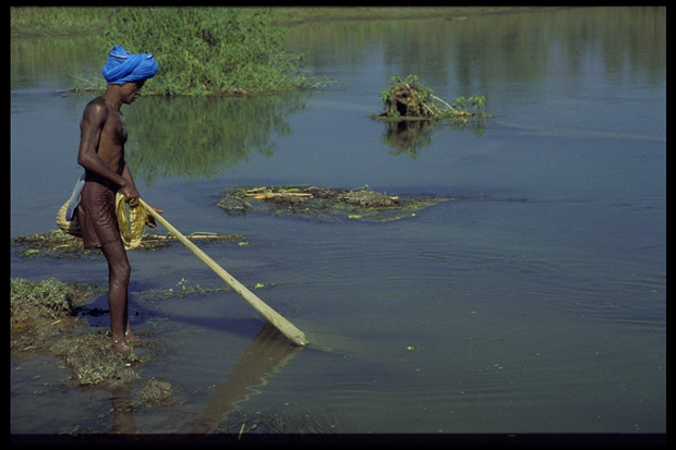 Fisherman, Terra, South Nepal