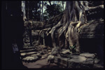 Tha Promh, Angkor, Cambodia