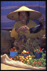 Day market, Rantepao, Tana Toraja, South Sulawesi