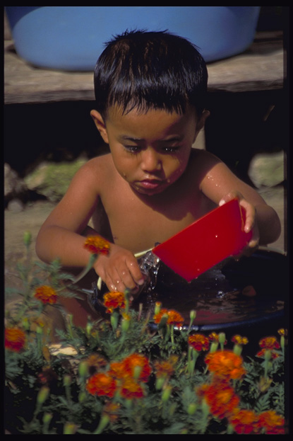 Portrait, Tana Toraja, South Sulawesi