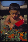 Portrait, Tana Toraja, South Sulawesi