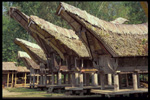 Traditional houses, Tana Toraja, South Sulawesi
