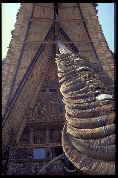 Traditional house, Tana Toraja, South Sulawesi