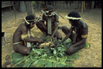 Lani Warriors, Balliem Valley, Irian Jaya