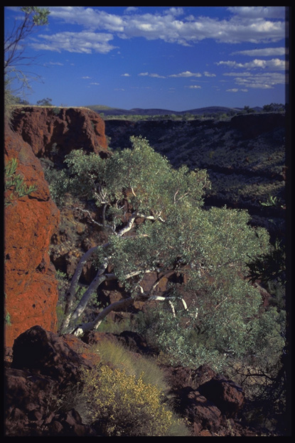 Katherine, Northern Territories