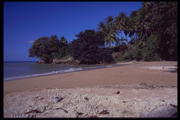 Beach, Baucau, East Timor